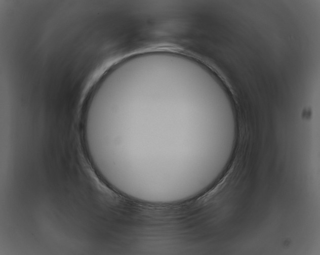 X0000091661414200708230940
