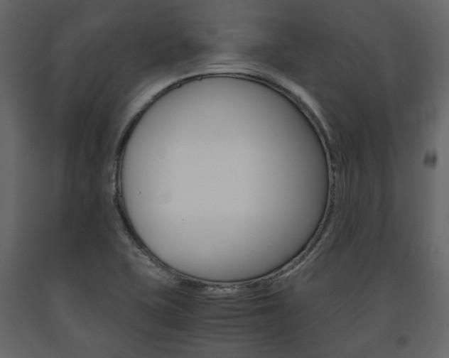 X0000091661415200708230940