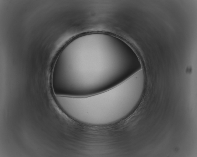 X0000091661416200708230940