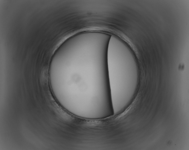 X0000091661417200708230940