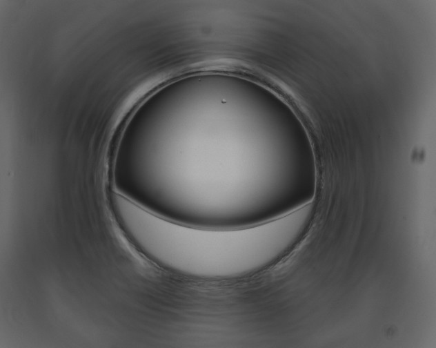 X0000091661418200708230940