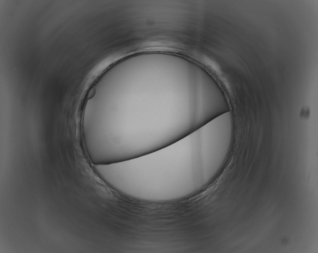 X0000091661419200708230940