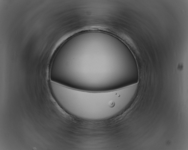 X0000091661420200708230940