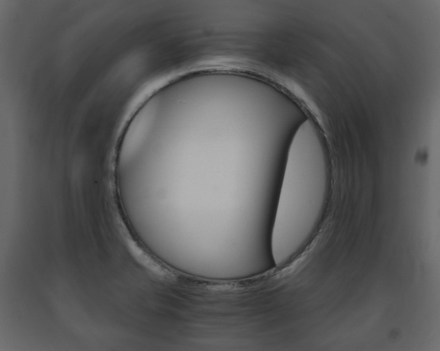 X0000091661421200708230940