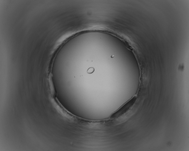 X0000091661422200708230940