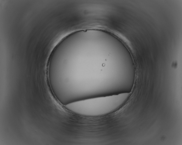 X0000091661423200708230940