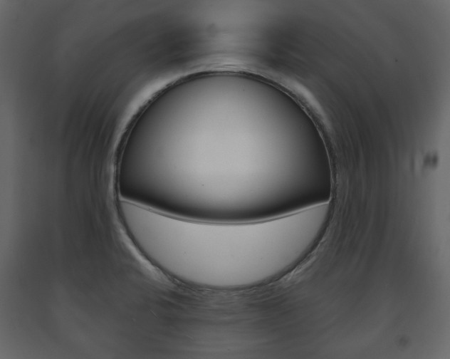 X0000091661424200708230940