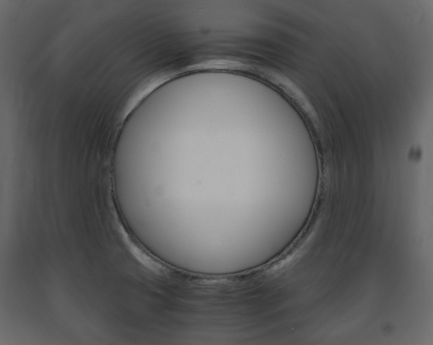 X0000091661425200708230940