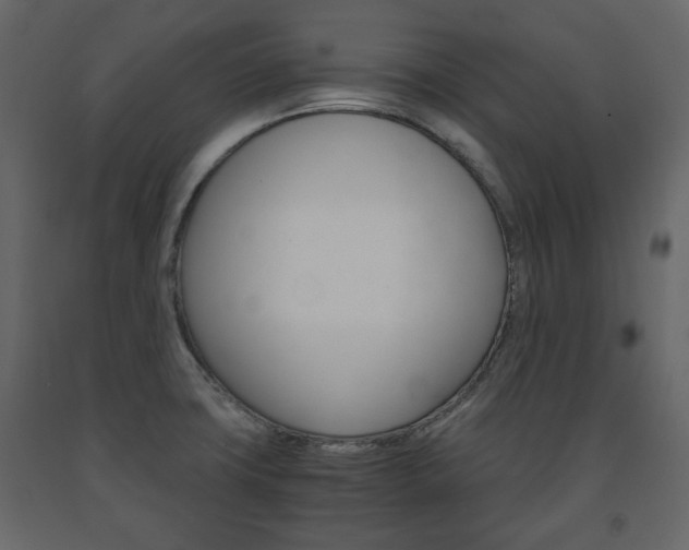 X0000091661427200708230940
