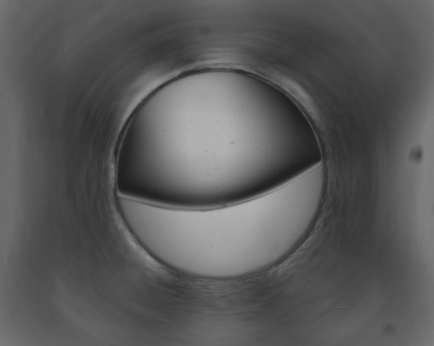 X0000091661428200708230940