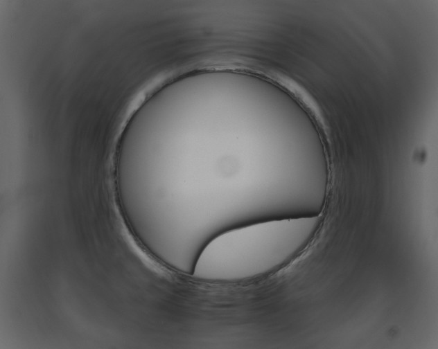 X0000091661429200708230940