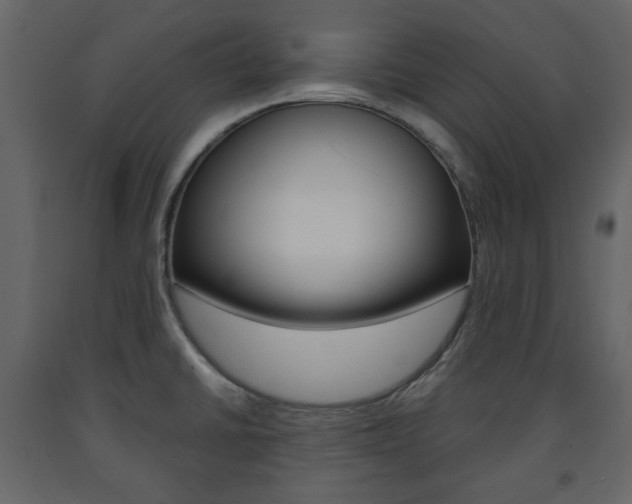 X0000091661430200708230940