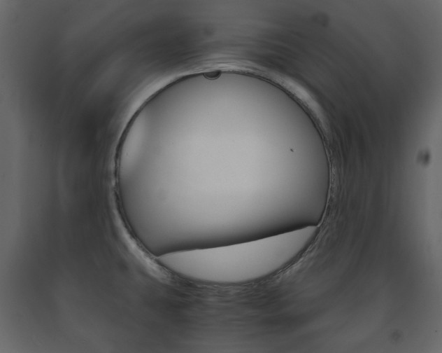 X0000091661431200708230940