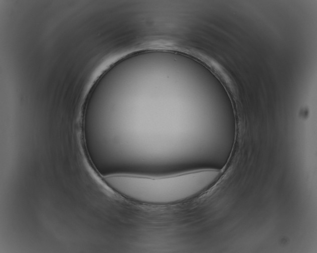 X0000091661432200708230940