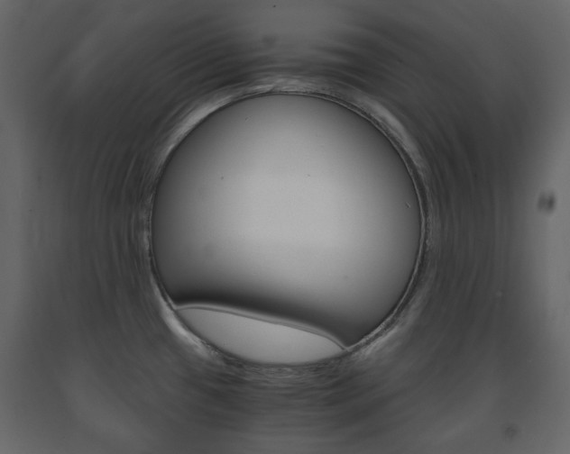 X0000091661433200708230940