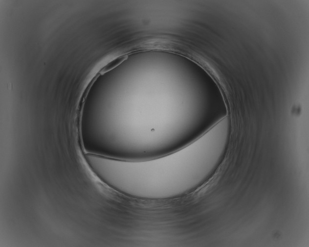 X0000091661434200708230940