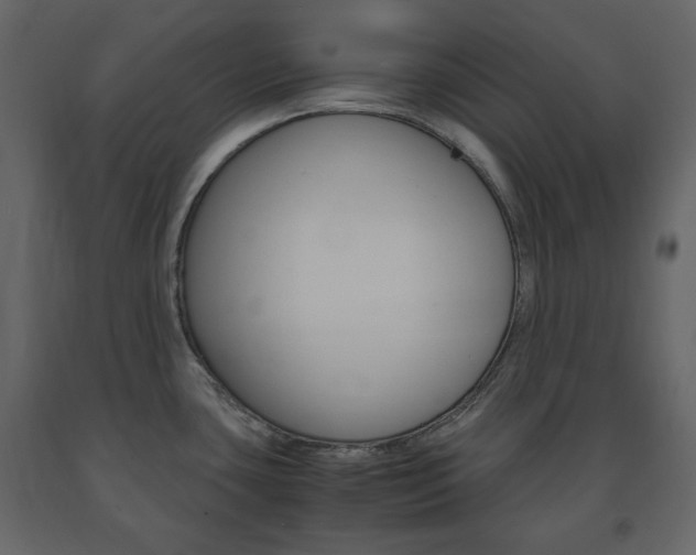 X0000091661435200708230940
