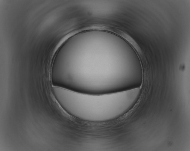 X0000091661436200708230940