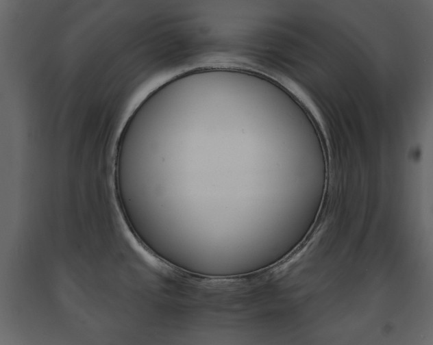 X0000091661437200708230940