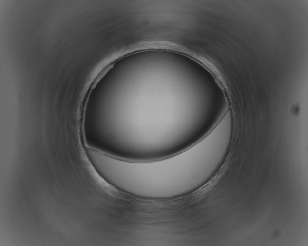 X0000091661438200708230940
