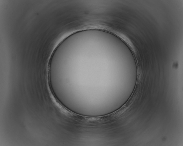 X0000091661439200708230940