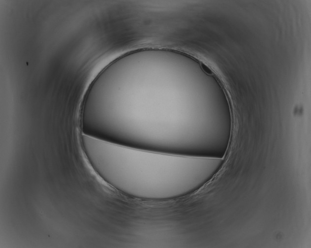 X0000091661440200708230940