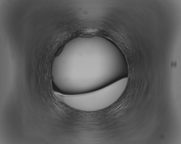 X0000091661441200708230939
