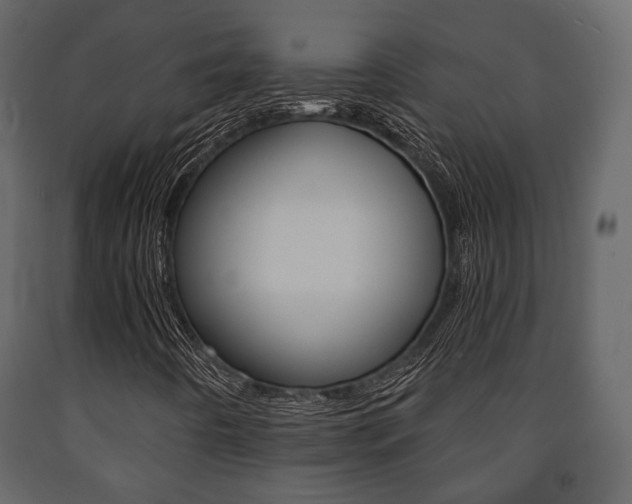 X0000091661442200708230939