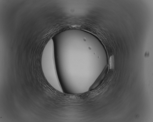 X0000091661443200708230939