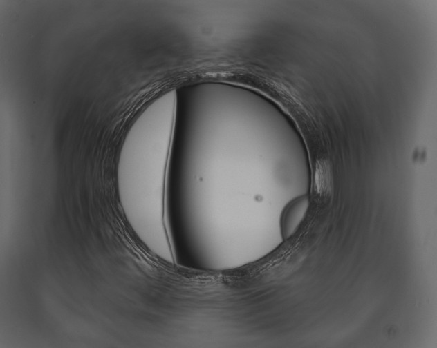X0000091661444200708230939