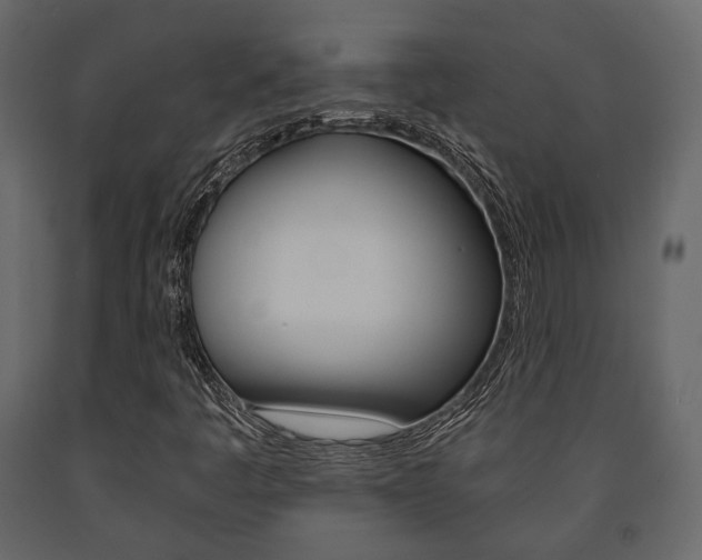 X0000091661445200708230939