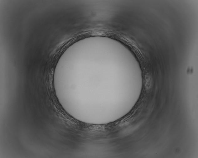 X0000091661446200708230939