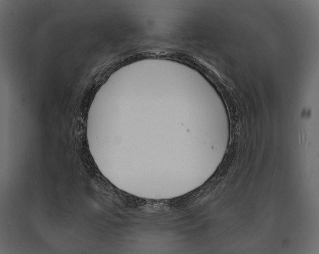 X0000091661447200708230939
