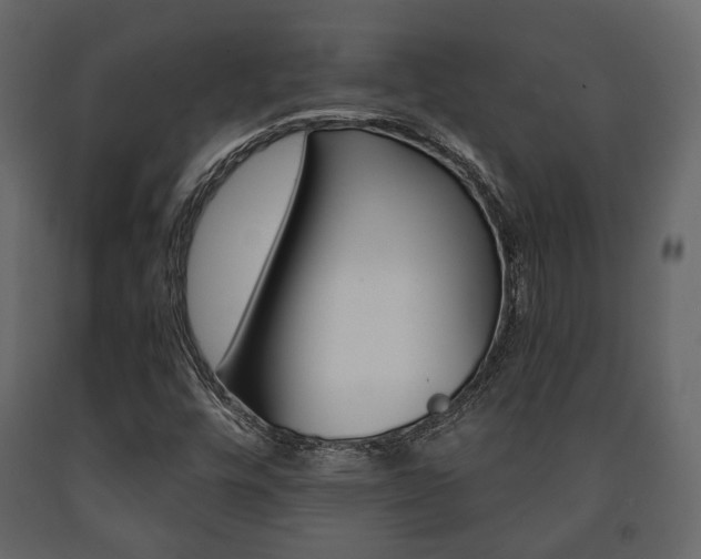 X0000091661448200708230939