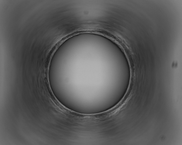 X0000091661449200708230939