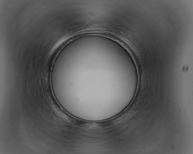 X0000091661450200708230939