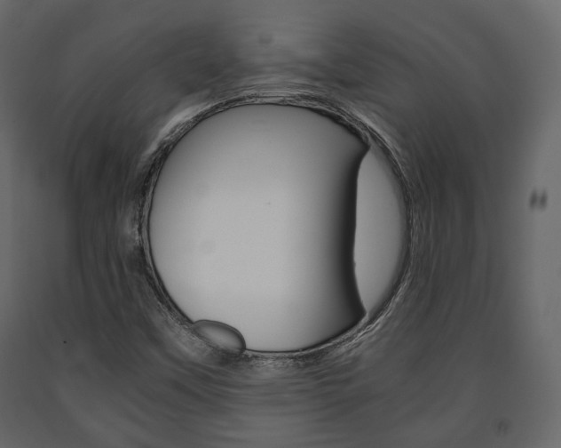 X0000091661451200708230939