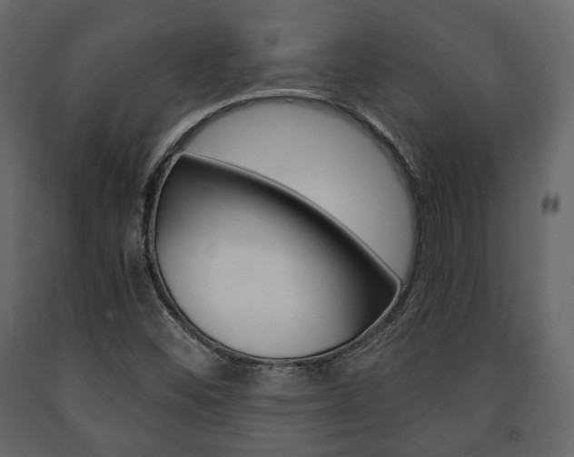 X0000091661452200708230939