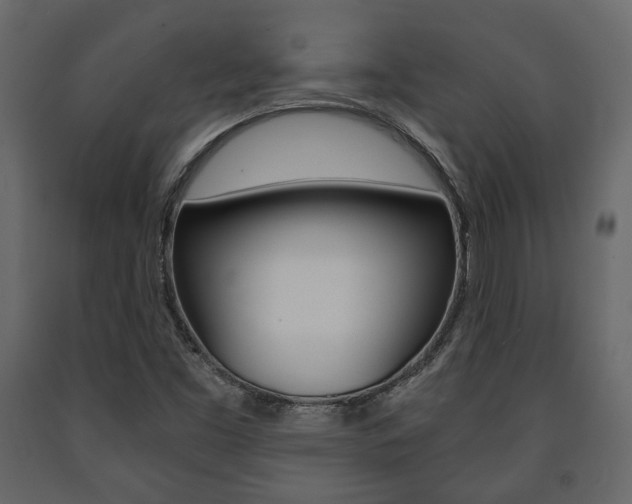 X0000091661453200708230939