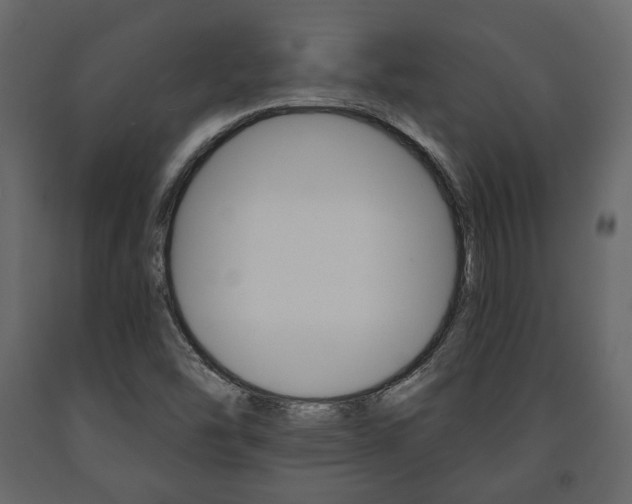 X0000091661454200708230939