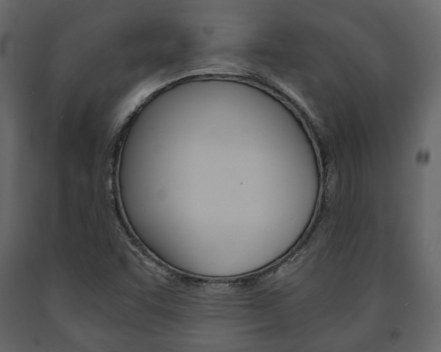 X0000091661455200708230939