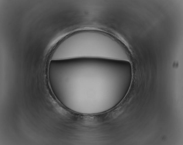 X0000091661456200708230939
