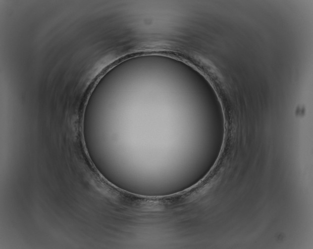 X0000091661457200708230939