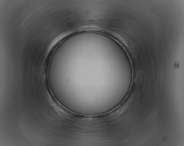X0000091661458200708230939