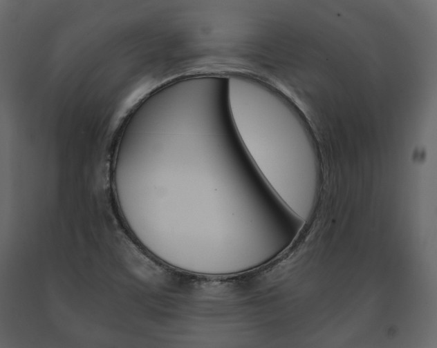 X0000091661459200708230939