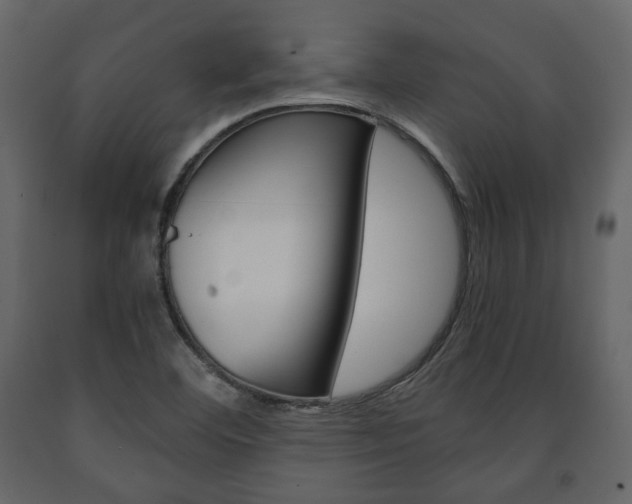 X0000091661460200708230939