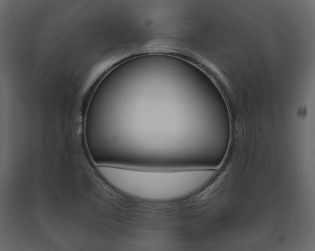 X0000091661461200708230939