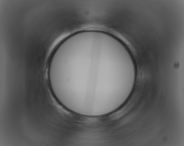 X0000091661462200708230939