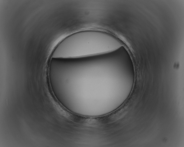 X0000091661463200708230939