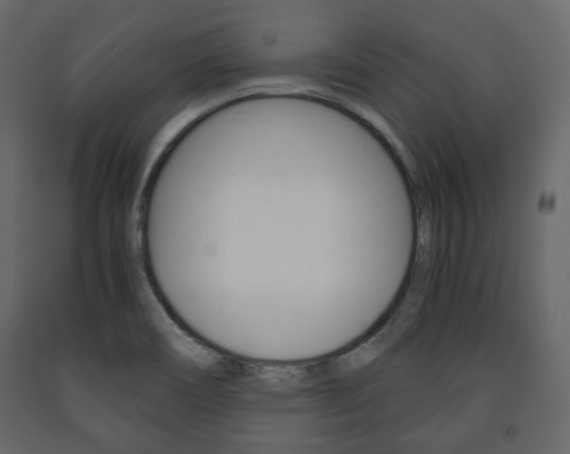 X0000091661466200708230939